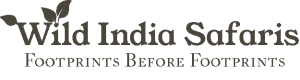 WIS-Logo-wild-india-safaris