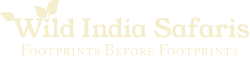 Light-WIS-Logo-wild-india-safaris